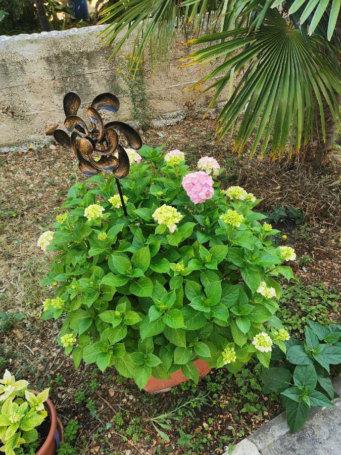 Bugenvila Rogoznica  Dış mekan fotoğraf